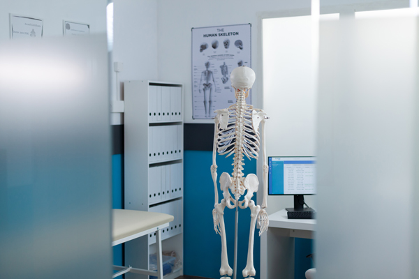 medical room with a human skeleton model standing next to a desk and computer displaying anatomy information in a modern educational environment focused on learning anatomy and the seven essential systems